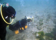Scuba Dog 1.jpg