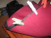 IMG_4231.jpg
