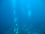 DSC00126.jpg