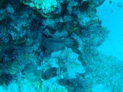 DSC00145.jpg