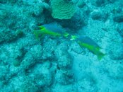 IMG_2761.jpg
