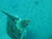 IMG_2953.jpg