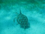 IMG_2983.jpg