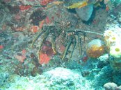 IMG_3164.jpg