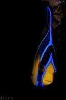 182 Porto Marie 88 - Version 2.jpg