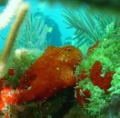 PIC_0062.jpg