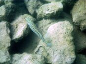 PICT0072.jpg