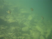 PICT0074.JPG