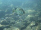 PICT0056.JPG