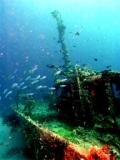 MK 6d dive tour fish coral & wreck.jpg