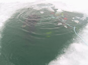 PIC_0070.JPG