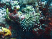 IMG_1480.jpg