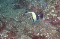 IMG_20180404_163721.jpg