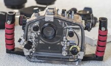 DSC_9986.jpg