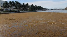 IMG_20180529_161756.jpg