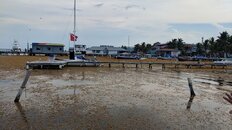 IMG_20180529_161952.jpg