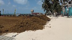 IMG_20180531_101356.jpg