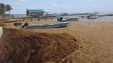 IMG_20180531_101651.jpg