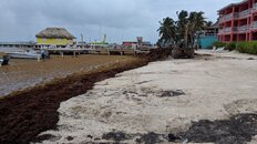 IMG_20180601_075257.jpg