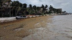 IMG_20180601_110004.jpg