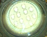 DSC00915.JPG