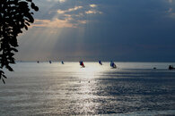 O-riggers-coming-back-2.jpg