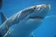 IMG_0035small.jpg