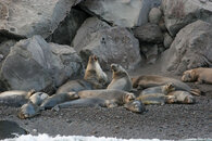 IMG_0980small.jpg