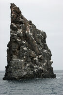 IMG_1012smaller.jpg