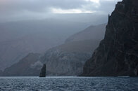 IMG_1020small.jpg