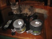 strobes.JPG