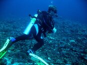 Malapascua Steve at Mondad Shoal  Medium Web view.jpg