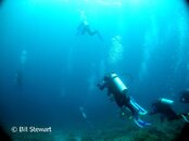 Malapascua Calangaman Island Descending to the Wall Medium Web view.jpg