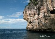 Malapascua Gato Island    Medium Web view.jpg