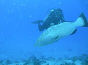 For scuba post.JPG