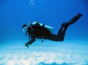 IMG_0061.JPG