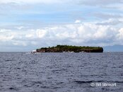 Moalboal Pescador Island Medium Web view.jpg