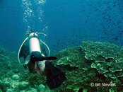 Moalboal Pescador Leading the Way Medium Web view.jpg