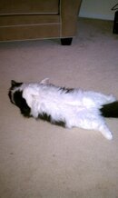 IMAG0072.jpg