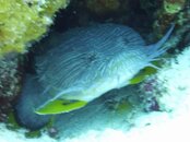 P1000463-2.jpg