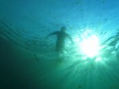 Manatee Trip (29).jpg