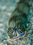 IMG_4427.jpg