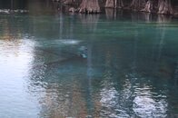 IMG_3060.jpg
