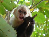 DSC00190.jpg
