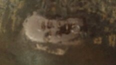 20180623_091017.jpg