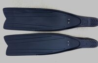 Mares back of fins.jpg