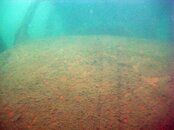IMG_2954small.jpg