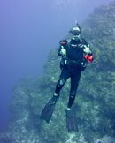 IMG_2334.jpg