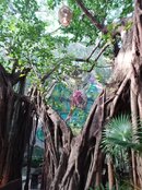 20180714_183059.jpg