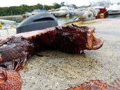 20180722_150029.jpg